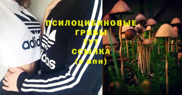 марки lsd Аркадак